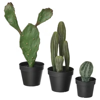 IKEA FEJKA Artificial potted plant, set of 3, in/outdoor cactus | IKEA Artificial plants & flowers | IKEA Plants & flowers | IKEA Decoration | Eachdaykart