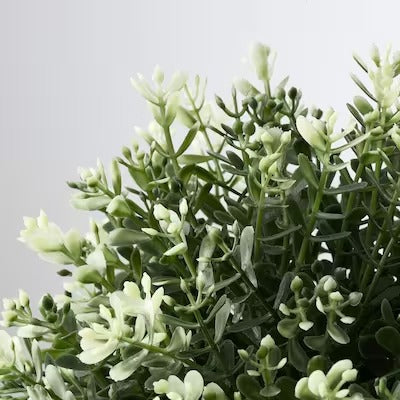 IKEA FEJKA Artificial potted plant, thyme | IKEA Artificial plants & flowers | IKEA Plants & flowers | IKEA Decoration | Eachdaykart