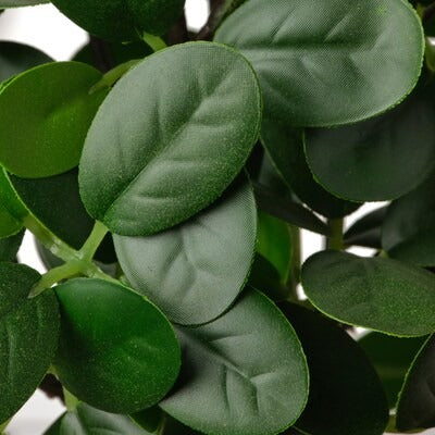 IKEA FEJKA Artificial potted plant with pot, in/outdoor bonsai | IKEA Artificial plants & flowers | IKEA Plants & flowers | IKEA Decoration | Eachdaykart