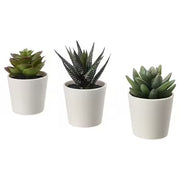 IKEA FEJKA Artificial potted plant with pot, in/outdoor Succulent | IKEA Artificial plants & flowers | IKEA Plants & flowers | IKEA Decoration | Eachdaykart - EachDayKart