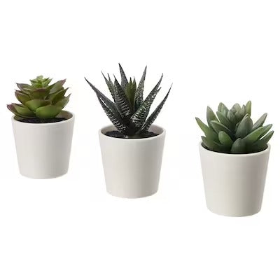 IKEA FEJKA Artificial potted plant with pot, in/outdoor Succulent | IKEA Artificial plants & flowers | IKEA Plants & flowers | IKEA Decoration | Eachdaykart - EachDayKart