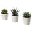 IKEA FEJKA Artificial potted plant with pot, in/outdoor Succulent | IKEA Artificial plants & flowers | IKEA Plants & flowers | IKEA Decoration | Eachdaykart