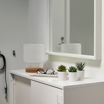 IKEA FEJKA Artificial potted plant with pot, in/outdoor Succulent | IKEA Artificial plants & flowers | IKEA Plants & flowers | IKEA Decoration | Eachdaykart - EachDayKart