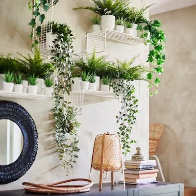 IKEA FEJKA Artificial potted plant with pot, in/outdoor Succulent | IKEA Artificial plants & flowers | IKEA Plants & flowers | IKEA Decoration | Eachdaykart