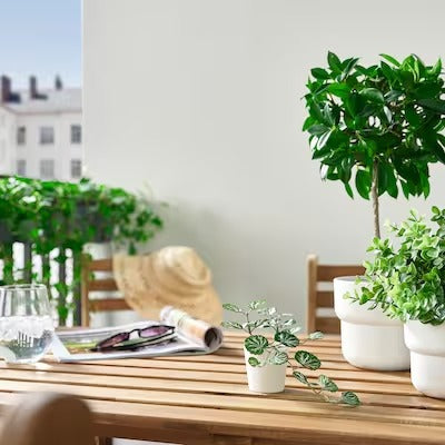 IKEA FEJKA Artificial potted plant with pot, in/outdoor white/green | IKEA Artificial plants & flowers | IKEA Plants & flowers | IKEA Decoration | Eachdaykart