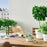 IKEA FEJKA Artificial potted plant with pot, in/outdoor white/green | IKEA Artificial plants & flowers | IKEA Plants & flowers | IKEA Decoration | Eachdaykart