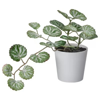 IKEA FEJKA Artificial potted plant with pot, in/outdoor white/green | IKEA Artificial plants & flowers | IKEA Plants & flowers | IKEA Decoration | Eachdaykart