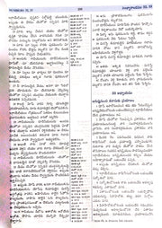 Full life study bible in telugu leather bound - EachDayKart