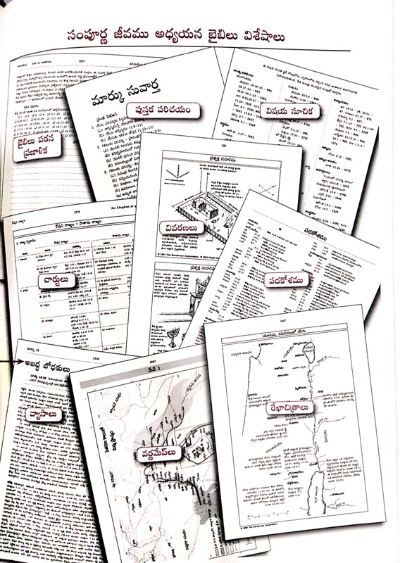 Full life study bible in telugu leather bound - EachDayKart