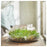 IKEA HEDERSAM Scented potpourri, Fresh grass/light green | IKEA Dried plants & potpourri | IKEA Plants & flowers | IKEA Decoration | Eachdaykart