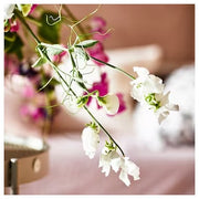 IKEA Jamnmod Scented potpourri Sweet pea purple - EachDayKart