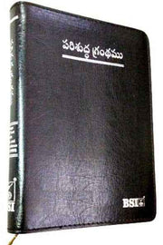 Telugu Bible – (O.V) Korean Print (Zip)with Concordance (Easy & Carry-able Size) - Telugu Bibles - EachDayKart