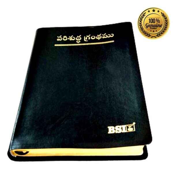 Holy bible telugu korean giant print leather cover gold edge thumb index by bsi - EachDayKart