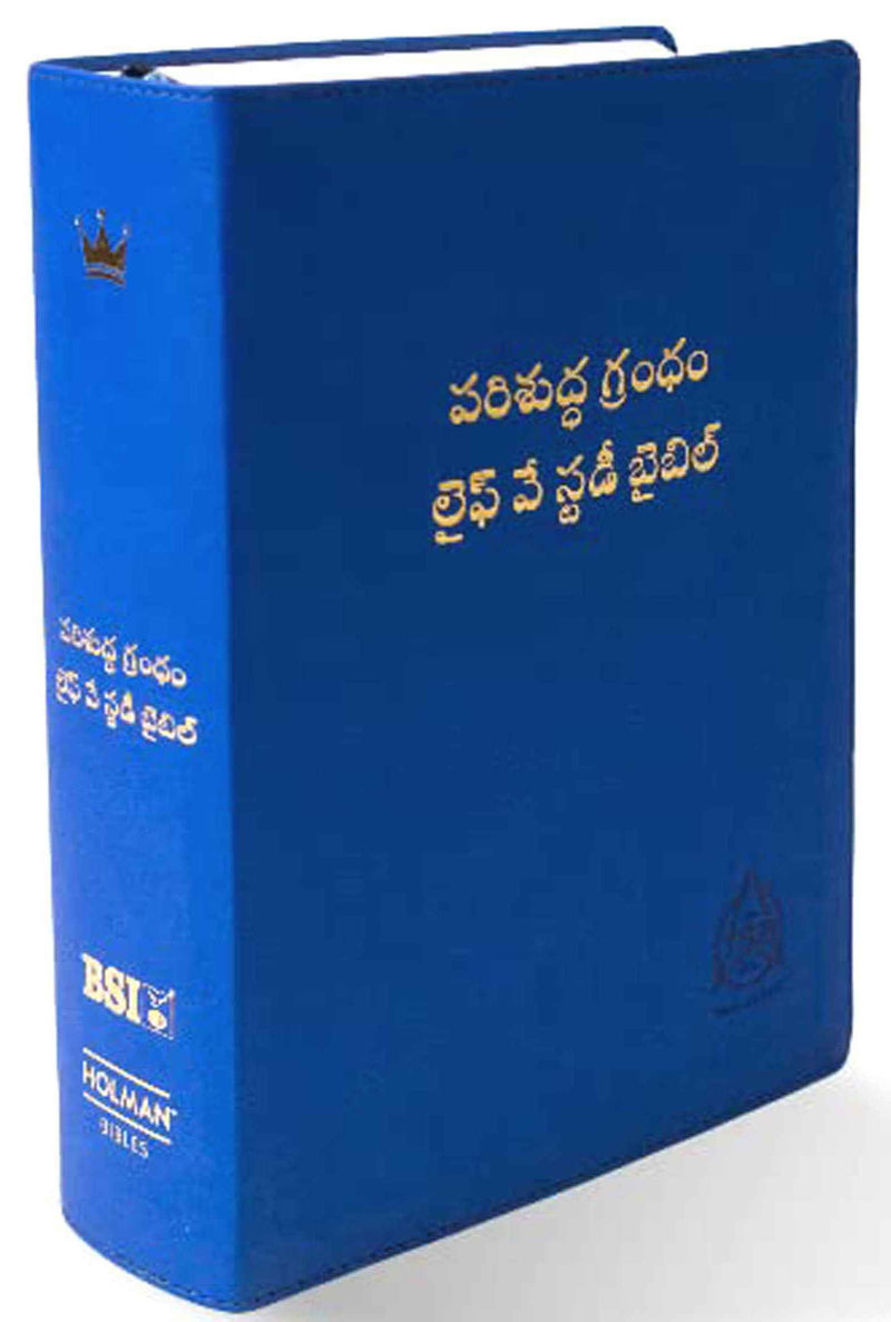 Lifeway Telugu Study Bible, Blue - Telugu Study Bibles - EachDayKart