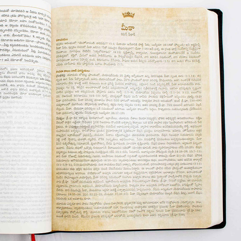 Lifeway telugu study bible red color - Telugu study bible - EachDayKart