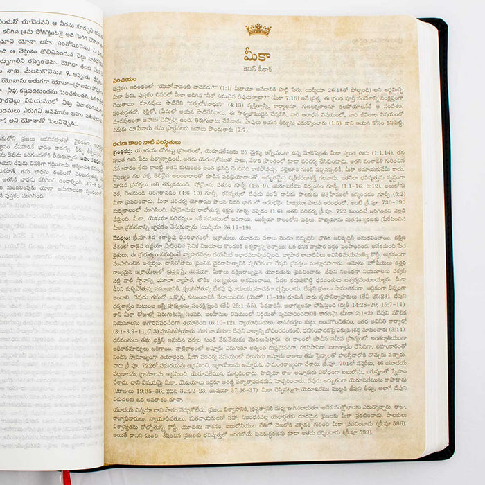 Lifeway Telugu Study Bible, Red Color - Telugu Study Bibles - Telugu Bibles - Telugu Christian Books
