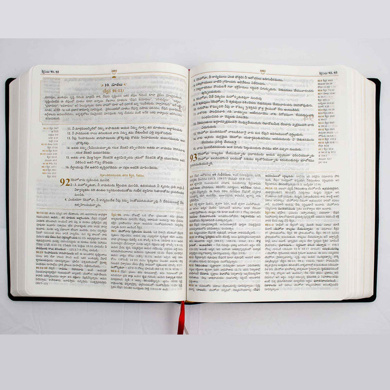 Lifeway Telugu Study Bible, Brown Color - Telugu Study Bibles - EachDayKart