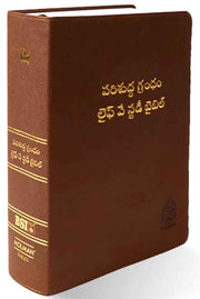 Lifeway Telugu Study Bible, Brown Color - Telugu Study Bibles - EachDayKart