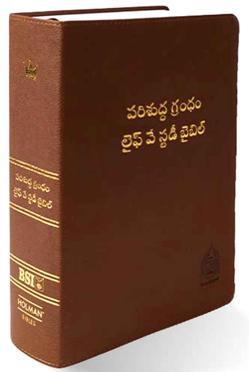 Lifeway Telugu Study Bible, Brown Color - Telugu Study Bibles - EachDayKart