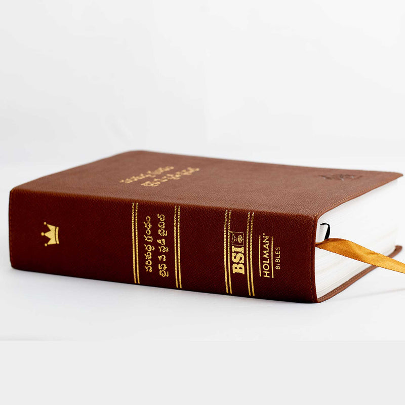 Lifeway Telugu Study Bible, Brown Color - Telugu Study Bibles - EachDayKart