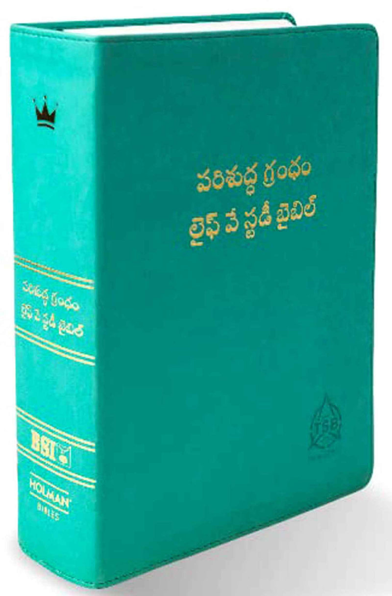 Lifeway Telugu Study Bible, Light Green - Telugu Study Bibles - EachDayKart