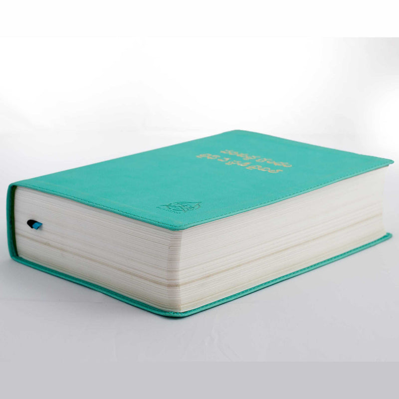 Lifeway Telugu Study Bible, Light Green - Telugu Study Bibles - EachDayKart