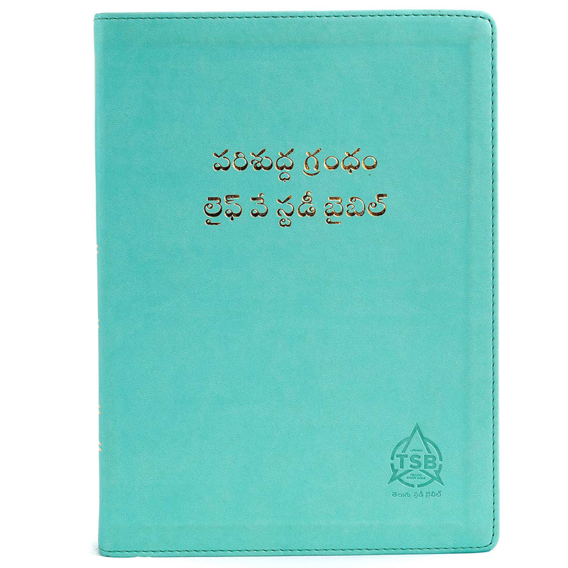 Lifeway Telugu Study Bible, Light Green - Telugu Study Bibles - EachDayKart