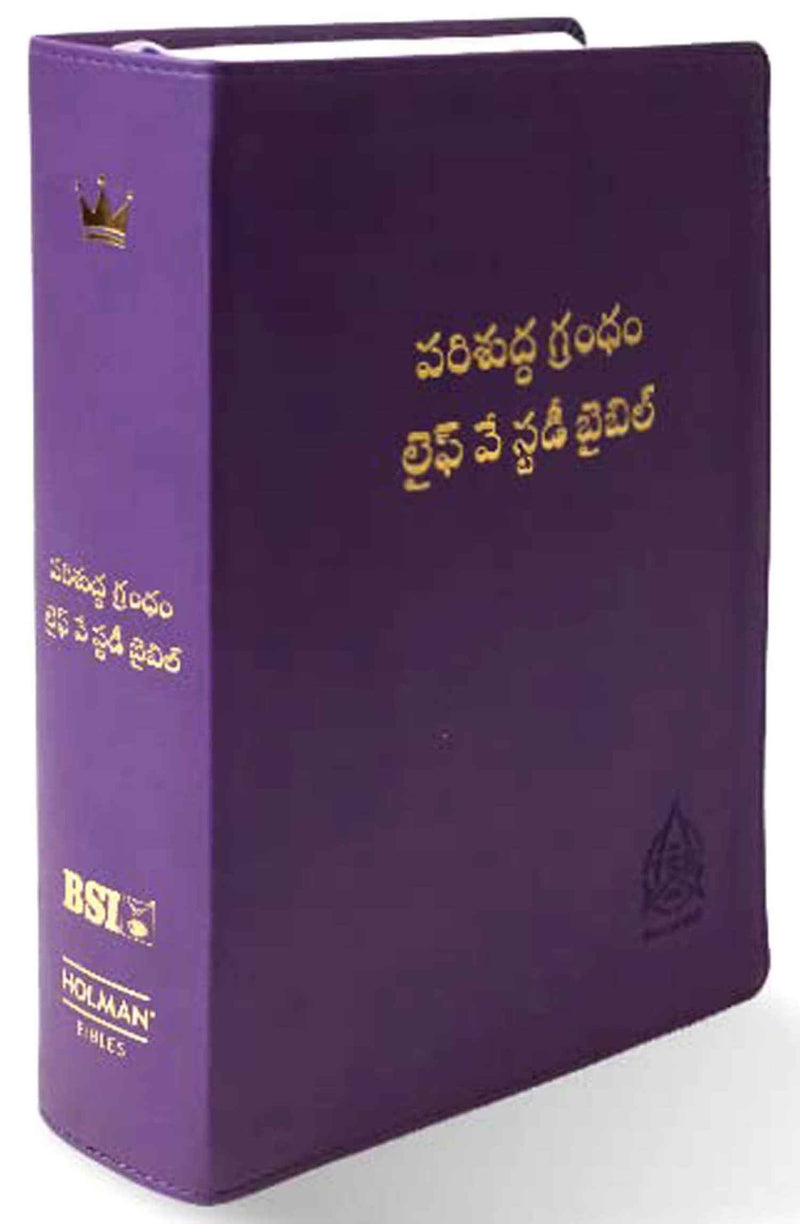 Lifeway Telugu Study Bible, Purple Color - Telugu Study Bibles - EachDayKart