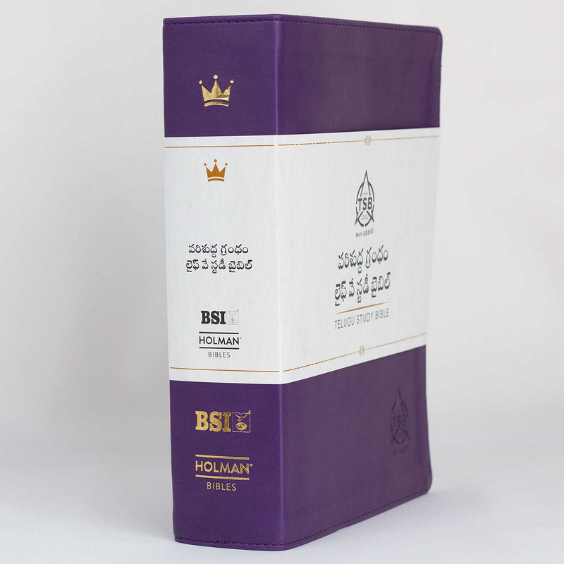 Lifeway Telugu Study Bible, Purple Color - Telugu Study Bibles - EachDayKart