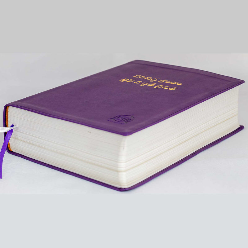Lifeway Telugu Study Bible, Purple Color - Telugu Study Bibles - EachDayKart
