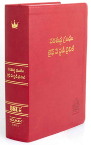 Lifeway telugu study bible red color - Telugu study bible - EachDayKart