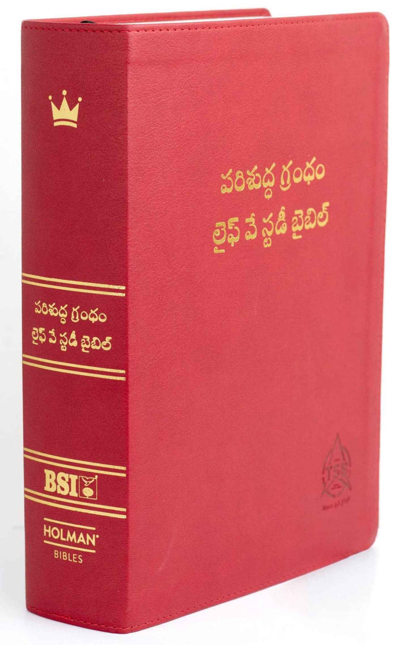 Lifeway telugu study bible red color - Telugu study bible - EachDayKart