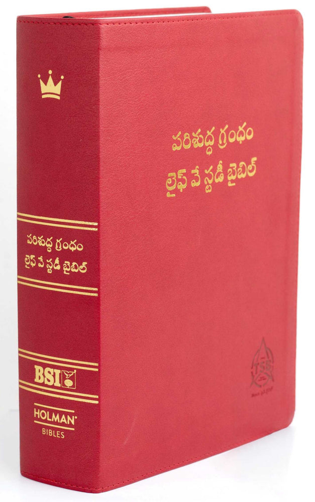 Lifeway Telugu Study Bible, Red Color - Telugu Study Bibles - Telugu Bibles - Telugu Christian Books