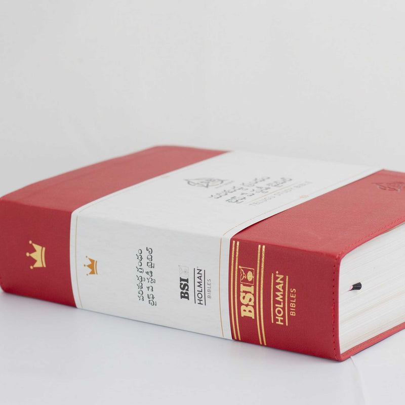 Lifeway telugu study bible red color - Telugu study bible - EachDayKart