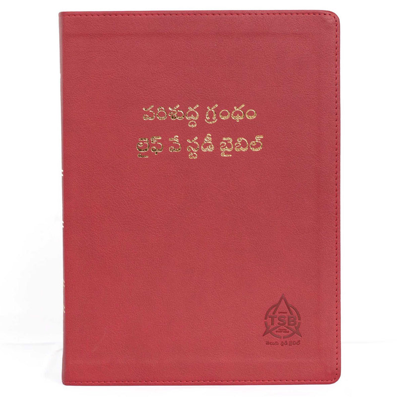 Lifeway telugu study bible red color - Telugu study bible - EachDayKart