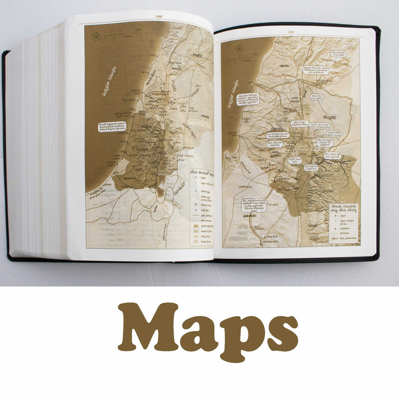 Lifeway Telugu Study Bible, Brown Color - Telugu Study Bibles - EachDayKart