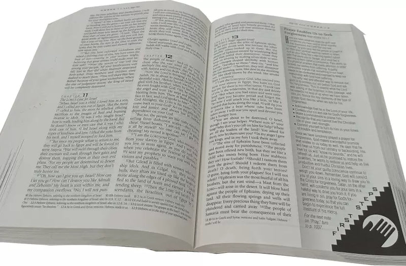 New believers bible nlt hardbound edition english bibles - EachDayKart