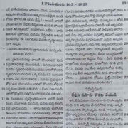 New testament and psalms telugu bible large print telugu bible society - EachDayKart