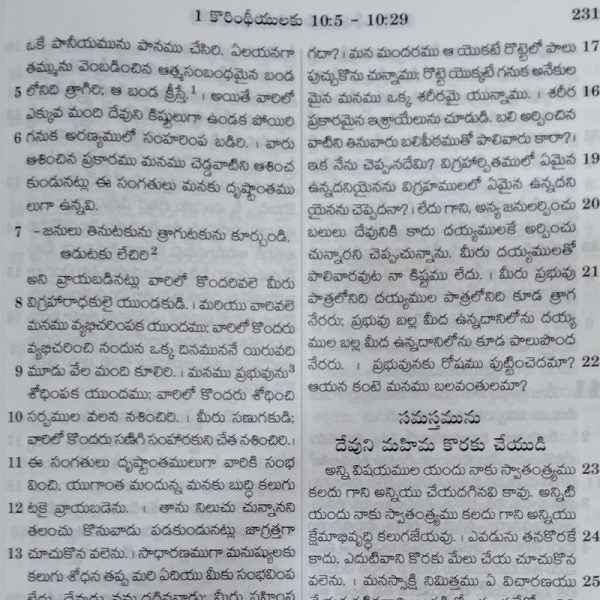 New testament and psalms telugu bible large print telugu bible society - EachDayKart