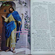 New testament and psalms telugu bible large print telugu bible society - EachDayKart