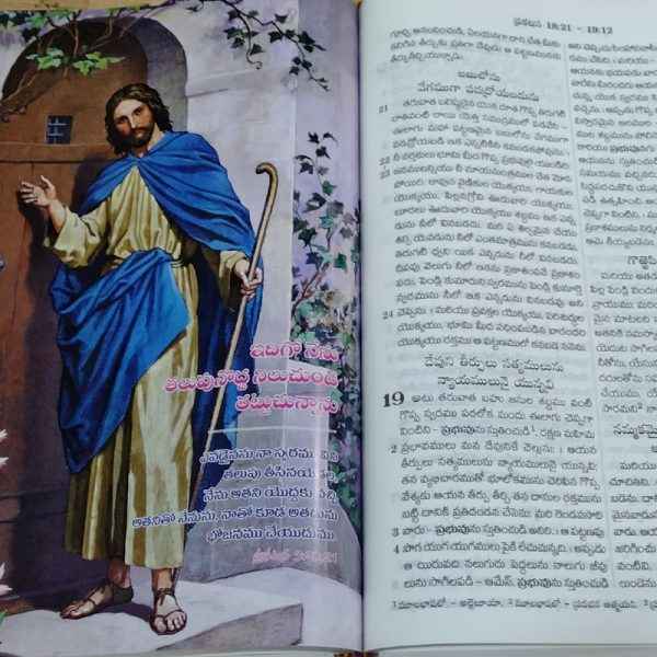 New testament and psalms telugu bible large print telugu bible society - EachDayKart