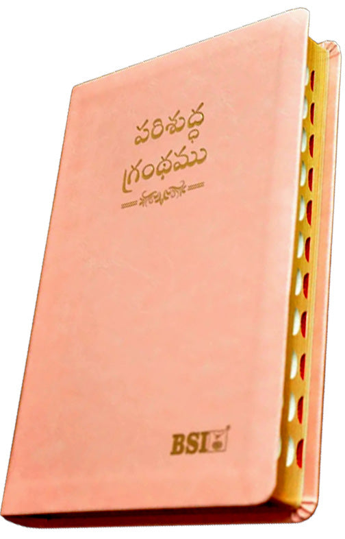 Telugu OV Gilt DY TI Pink PU Yaap | Telugu Bibles | Bibles in Telugu - EachDayKart