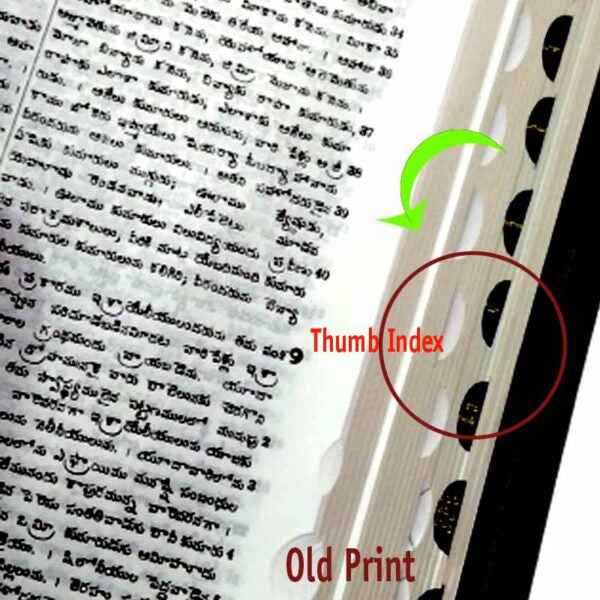 The Holy Bible Telugu Old Version (O.V) Bible with Zip – By BSI – Telugu Korean Print Bibles – Telugu Bibles - EachDayKart