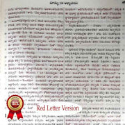Telugu Bible (O.V) (AMITY) Classic Plus, large print and Red letter Edition with Zip By BSI - Telugu Bibles - EachDayKart