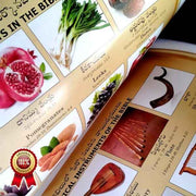 Telugu Bible (O.V) (AMITY) Classic Plus, large print and Red letter Edition with Zip By BSI - Telugu Bibles - EachDayKart