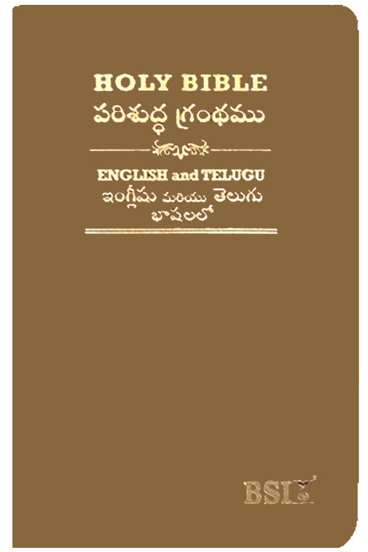 Telugu English Royal Diglot bible Rexine binding Amity PU Brown Color | Telugu Bibles - EachDayKart