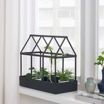 IKEA SENAPSKAL Decoration greenhouse, in/outdoor black | IKEA Growing accessories | IKEA Plants & flowers | IKEA Decoration | Eachdaykart