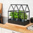 IKEA SENAPSKAL Decoration greenhouse, in/outdoor black | IKEA Growing accessories | IKEA Plants & flowers | IKEA Decoration | Eachdaykart