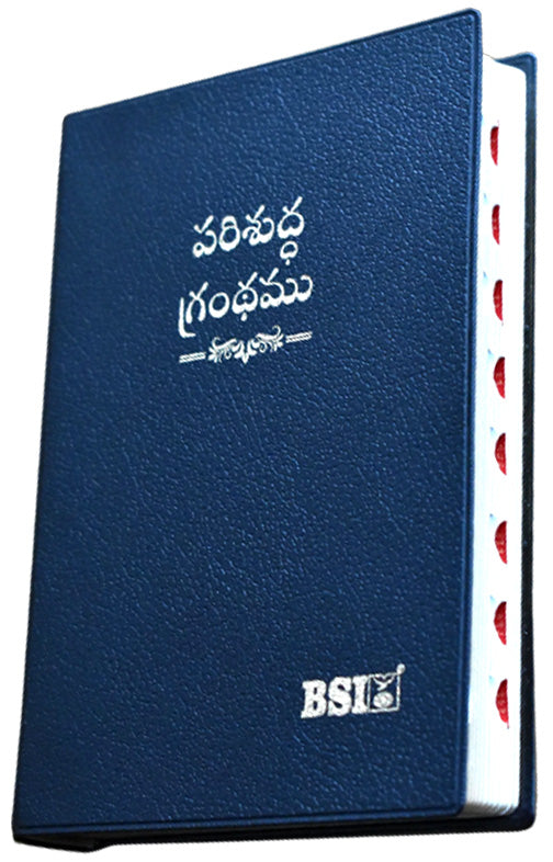 Telugu Senior Citizen Yapp | Telugu Bibles | Bibles in Telugu - EachDayKart