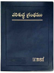 Senior Citizen bible Giant print with zip-Telugu - Telugu Bibles - Senior Citizen Bibles - EachDayKart